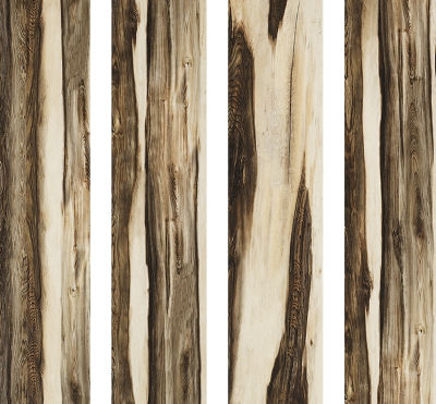 PLOČICA BE WOOD BLUE 15,2x61,5 I KL